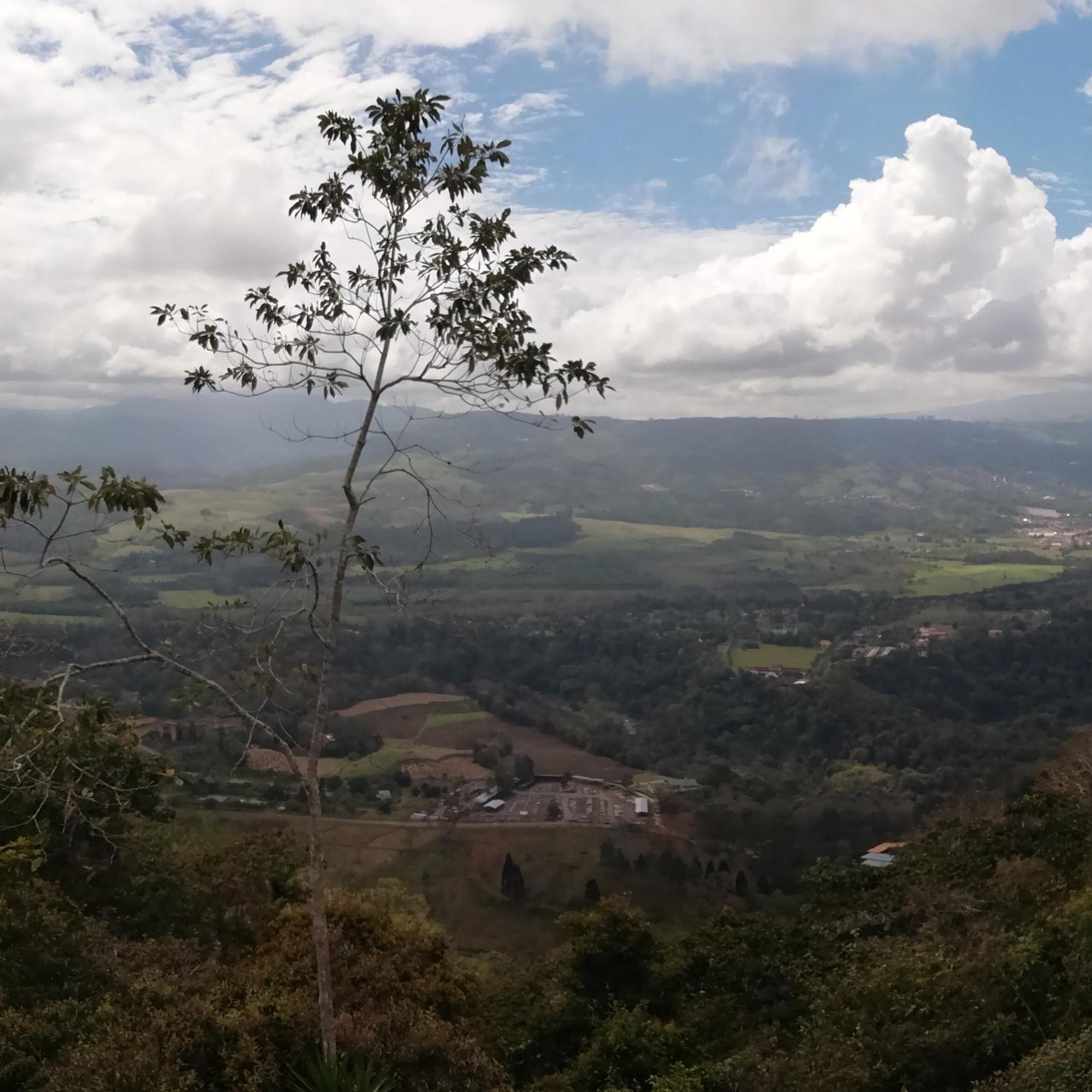Pochotel Turrialba Exterior foto