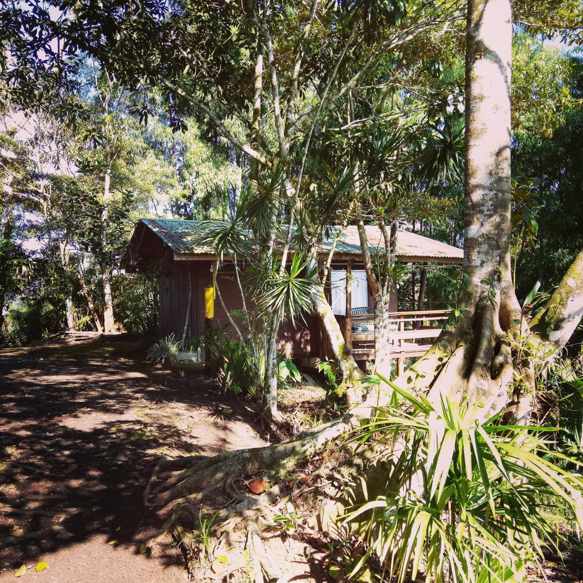 Pochotel Turrialba Habitación foto